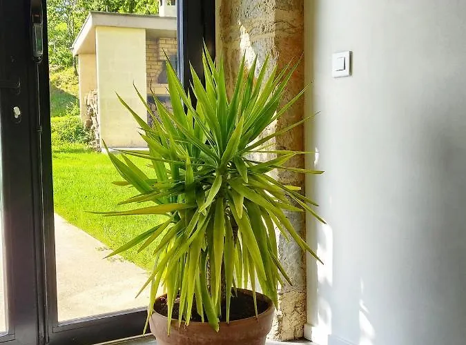 Estafete Couette-café Ligneyrac